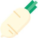 daikon 