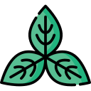 albahaca icon