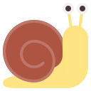 caracol icon