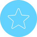 estrella icon