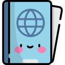 pasaporte icon