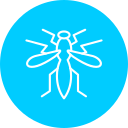 mosquito icon