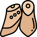 zapato icon