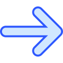 flecha correcta icon