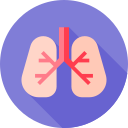 pulmones icon