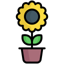 girasol icon