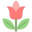 tulipán icon