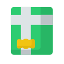 regalo icon