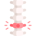 columna vertebral 