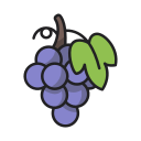 uvas icon