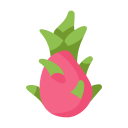 dragon de fruta icon