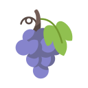 uvas icon