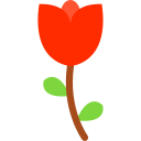 tulipán icon