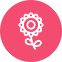 girasol icon