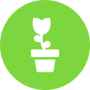 planta icon