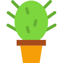 cactus icon