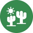 desierto icon