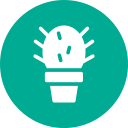 cactus icon