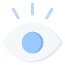 ojo icon