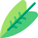 alocasia cebrina icon