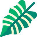 alocasia amazónica icon