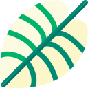 caladio icon