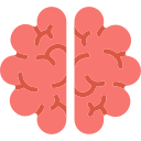 cerebro humano icon