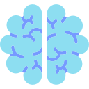 cerebro humano