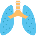 pulmones