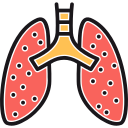 pulmones 