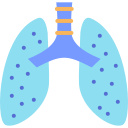 pulmones icon