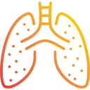 pulmones 