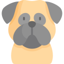 doguillo icon