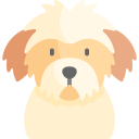 shih-tzu icon