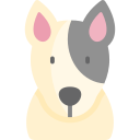 bull terrier icon