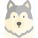 malamute de alaska icon