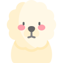 bichón frisé icon