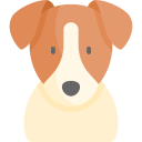 jack russell terrier icon