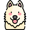 samoyedo