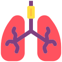 pulmones