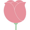 rosa icon