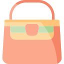 bolso icon