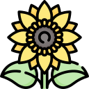 girasol icon