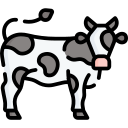 vaca 