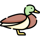 pato icon