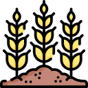 trigo icon