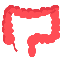 colon icon