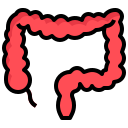 colon icon