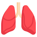 pulmones icon