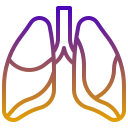 pulmones icon